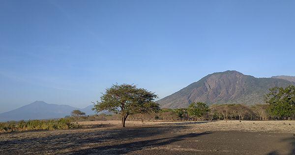 7 Tips Ini Bikin Liburanmu di Baluran Jadi Tambah Seru!