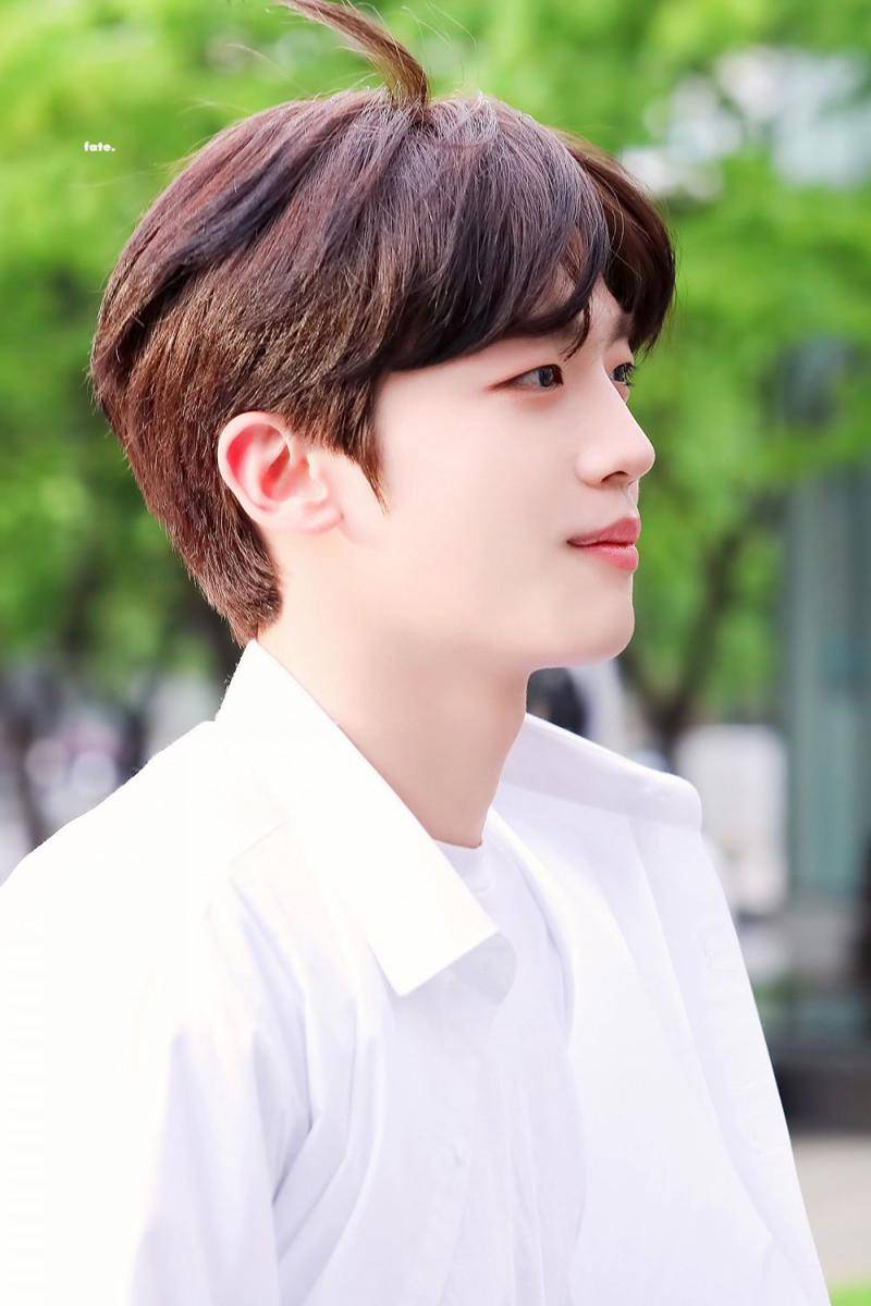 twitter.com/fate_yh