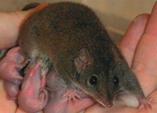 www.livescience.com