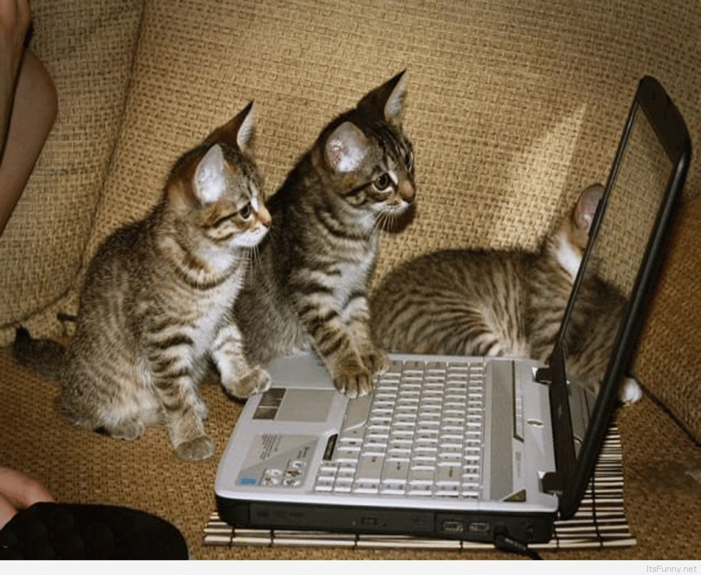 larutadelsorigens.cat
