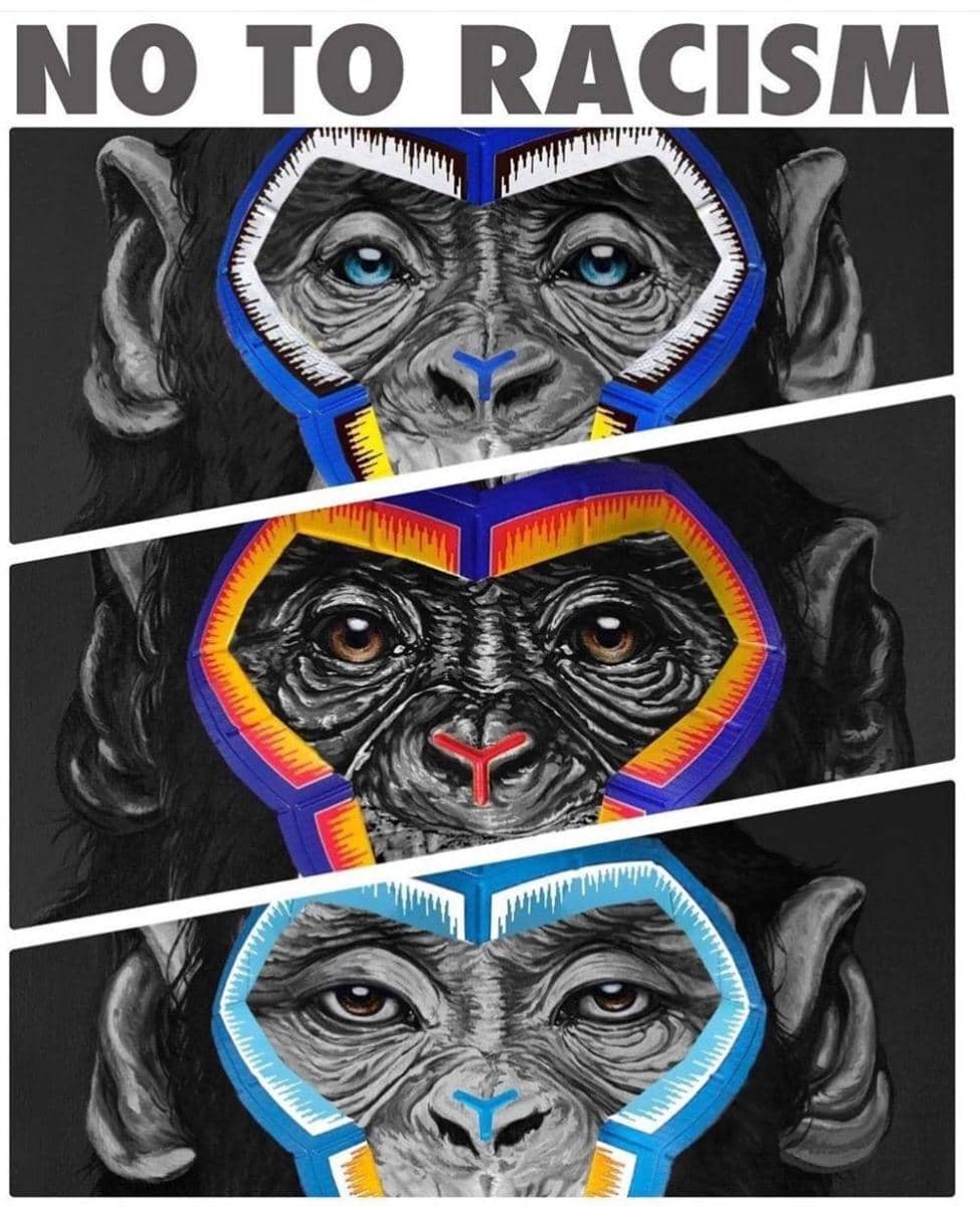 Poster anti-rasisme Serie A. twitter.com/AlexGoldberg_