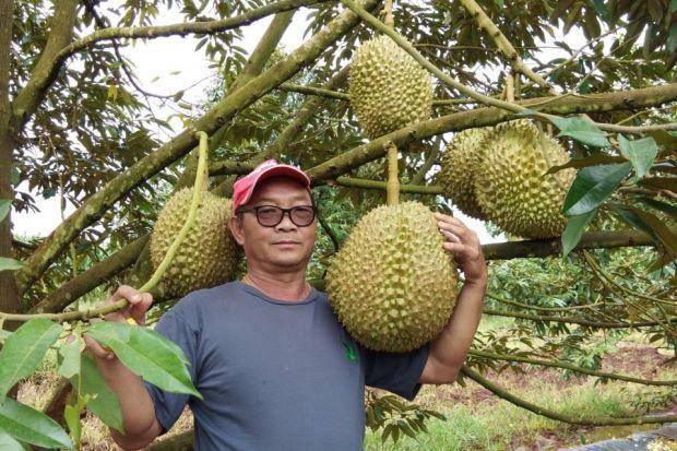 asiaone.com