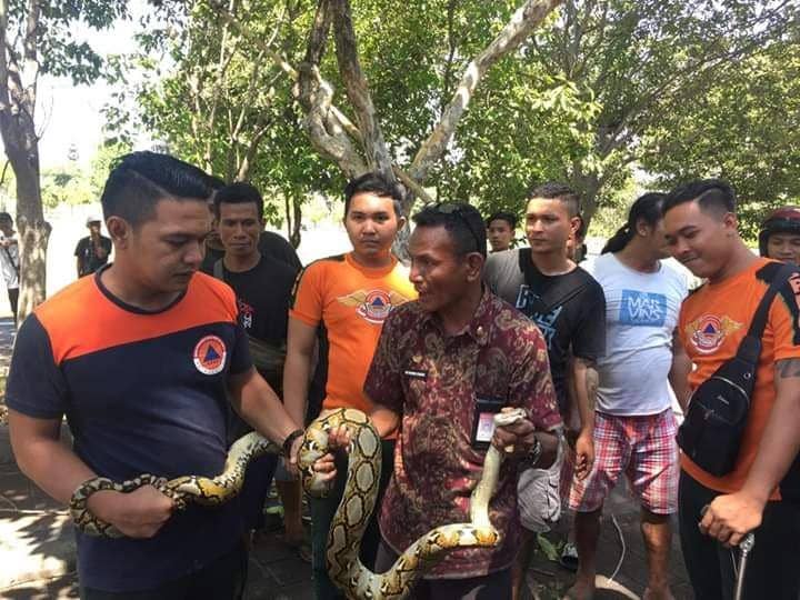 Dok.IDN Times/Istimewa