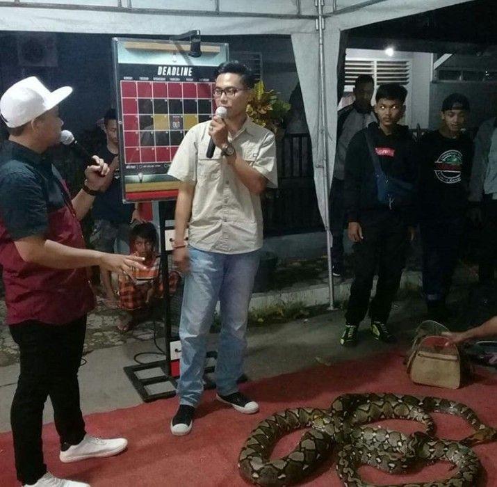 RSS Indonesia Ungkap Penyebab Banyak Ular Muncul di Musim Penghujan
