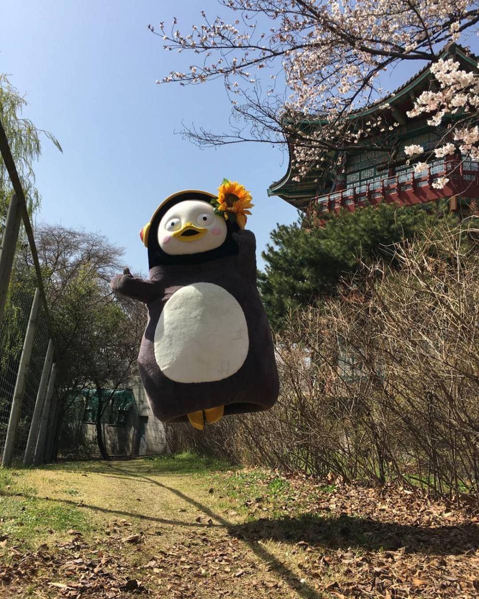 instagram.com/giantpengsoo