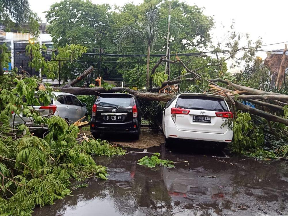 [BREAKING] Hujan Angin, Pohon Tumbang Timpa Tiga Mobil di Bandung
