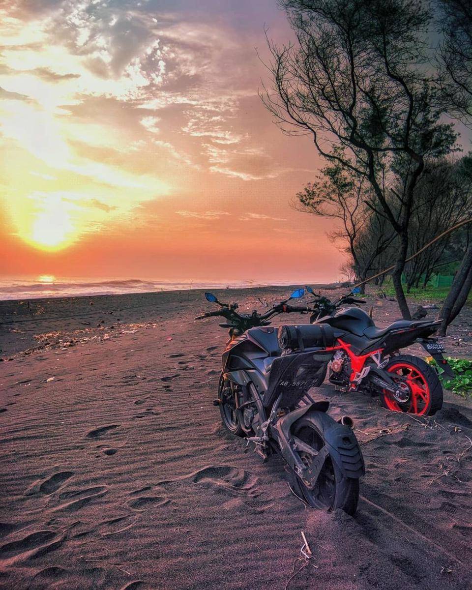 instagram.com/wildblackwanderer