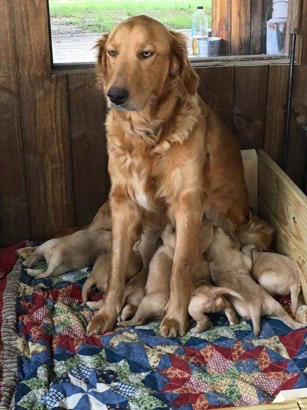 reddit.com/photoshopbattles