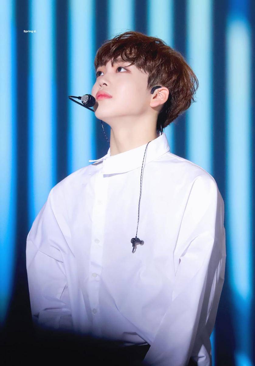 twitter.com/springdays_hj