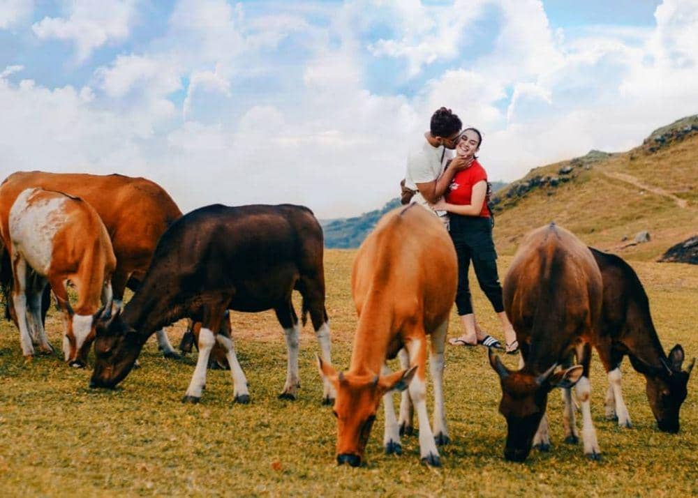 instagram.comm/ammarzoni