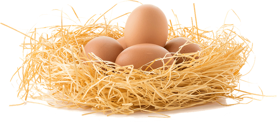 Ilustrasi telur (pixabay.com/vipbum)