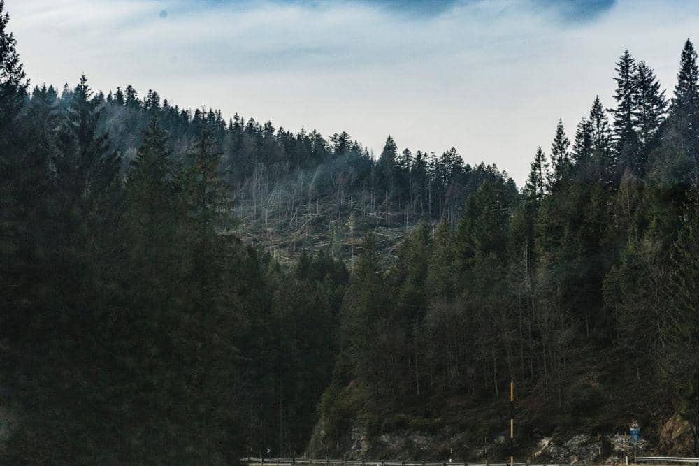 Pexels.com/Francesco Paggiaro