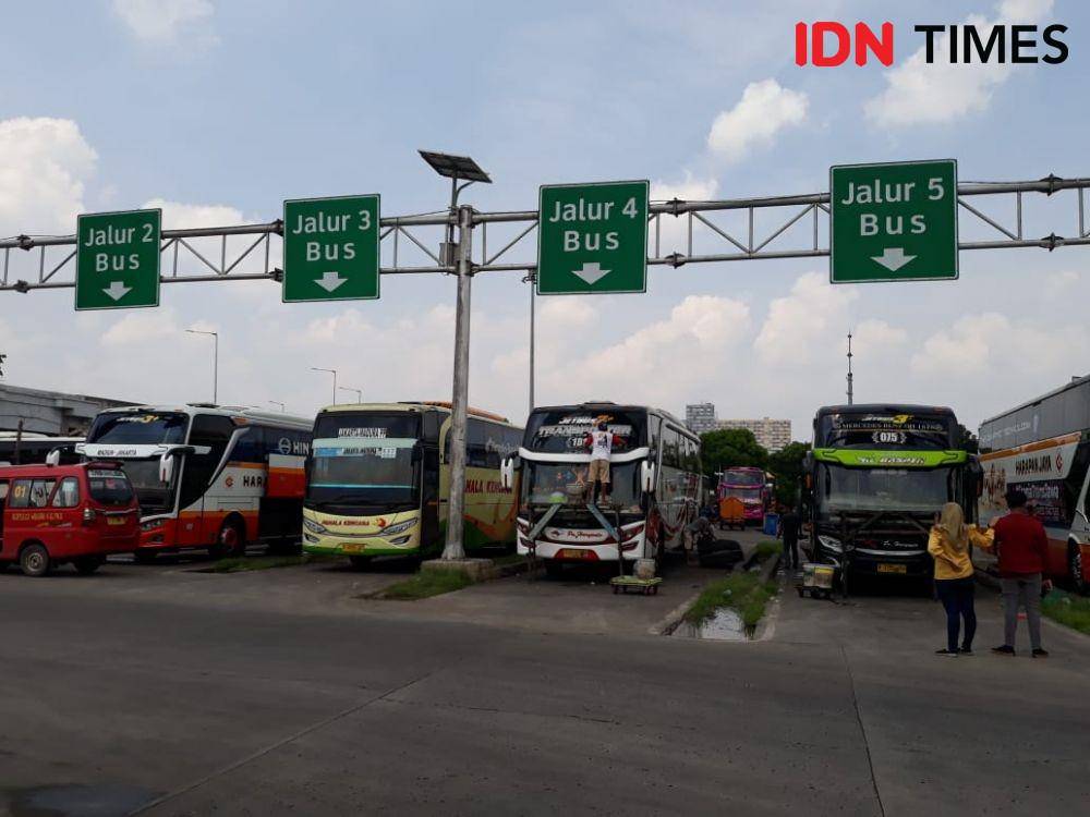 Ilustrasi Bus Antar Kota Antar Provinsi (IDN Times/Fitang Budhi Adhitia)