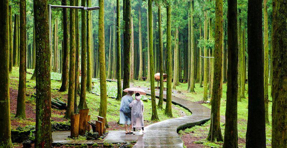 visitjeju.net