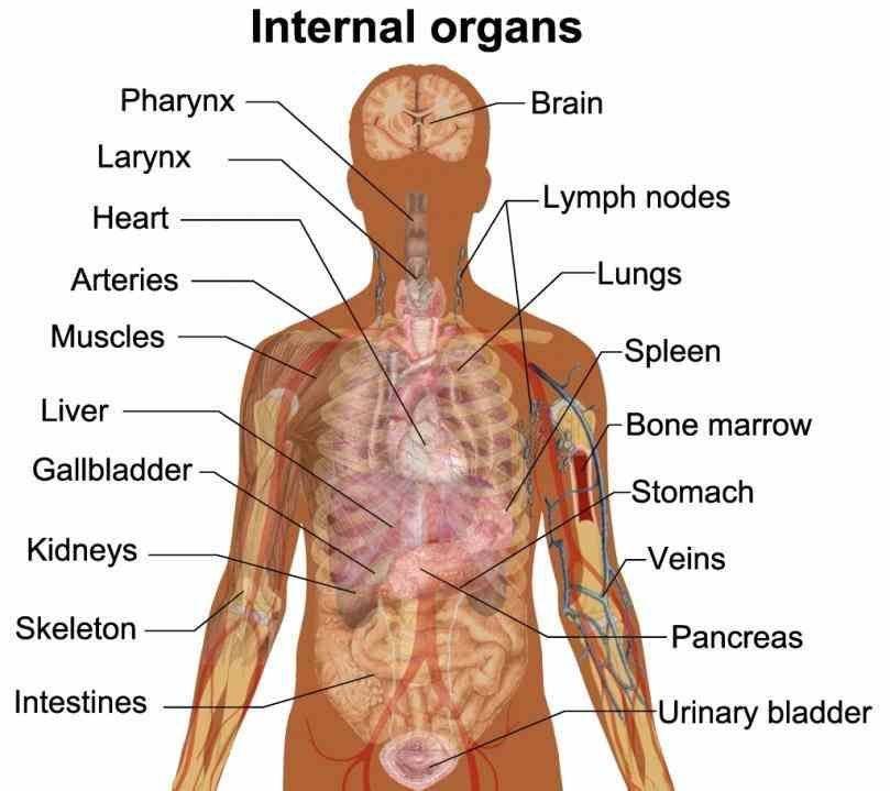 medicinebtg.com