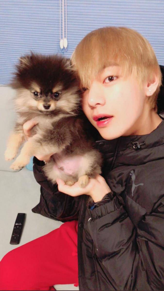 twitter.com/purplefortaetae