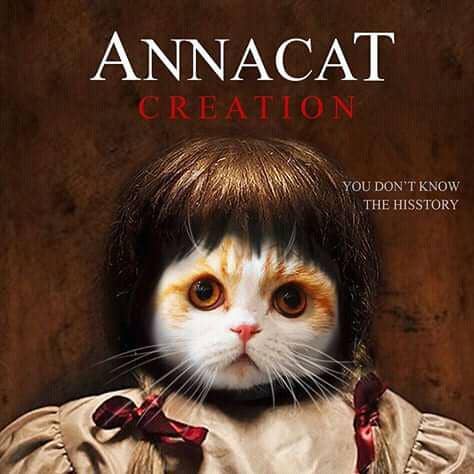 facebook.com/Waffles the Cat