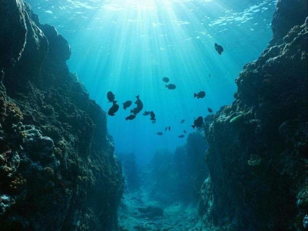7 Palung Laut Terdalam di Bumi, Tak Hanya Palung Mariana