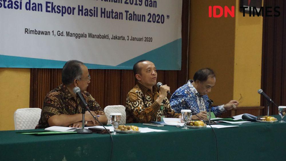 Langkah Pemerintah Tangani Penurunan Ekspor di Sektor Hutan Produksi