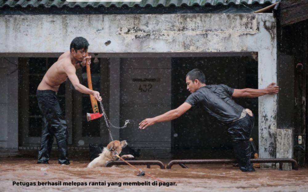 (Petugas damkar Depok mencoba menyelamatkan anjing yang terendam banjir) www.instagram.com/@galaindiga