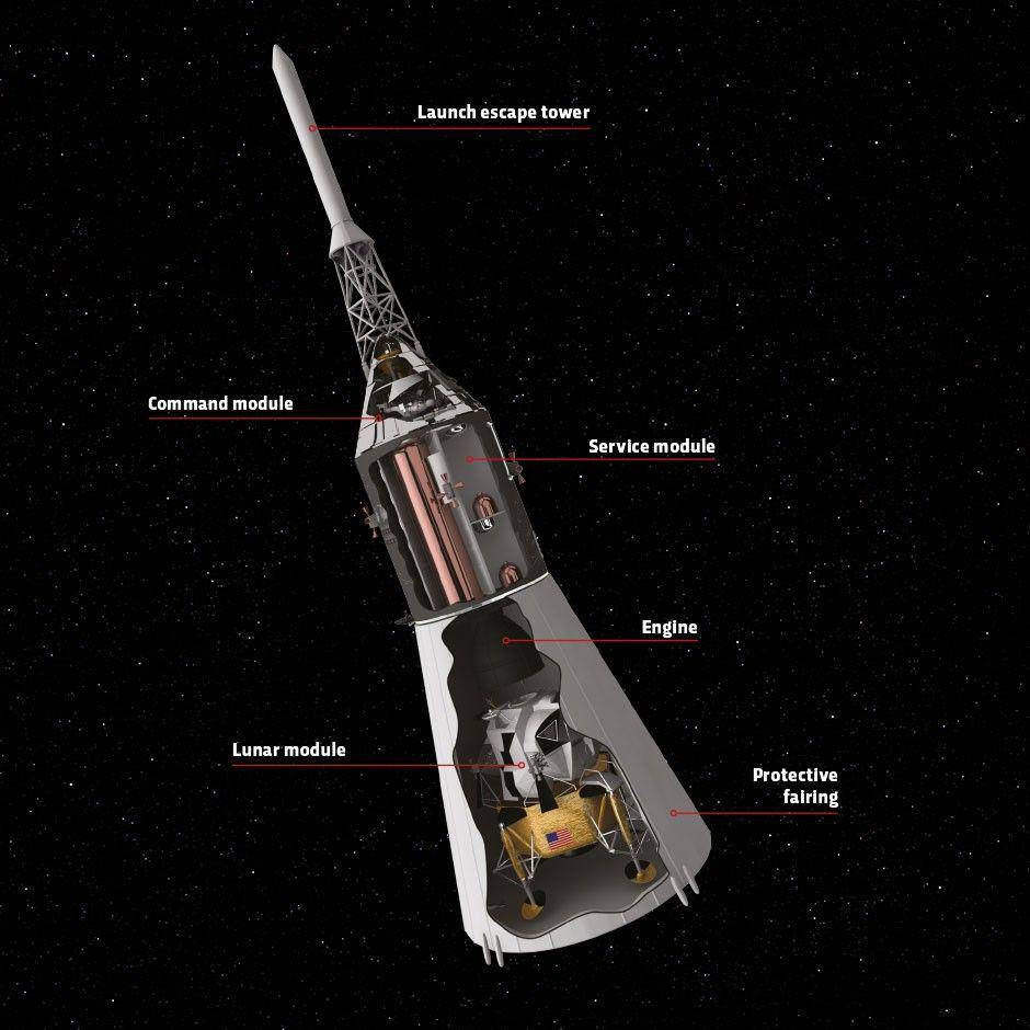www.sciencefocus.com