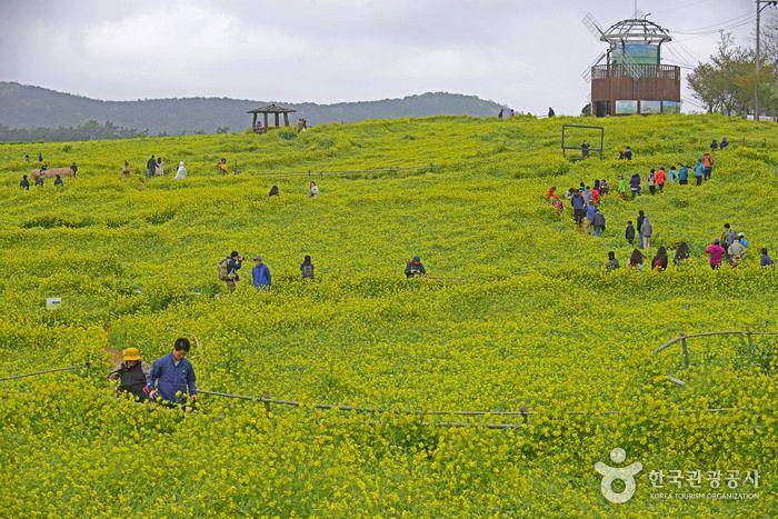 visitkorea.or.id