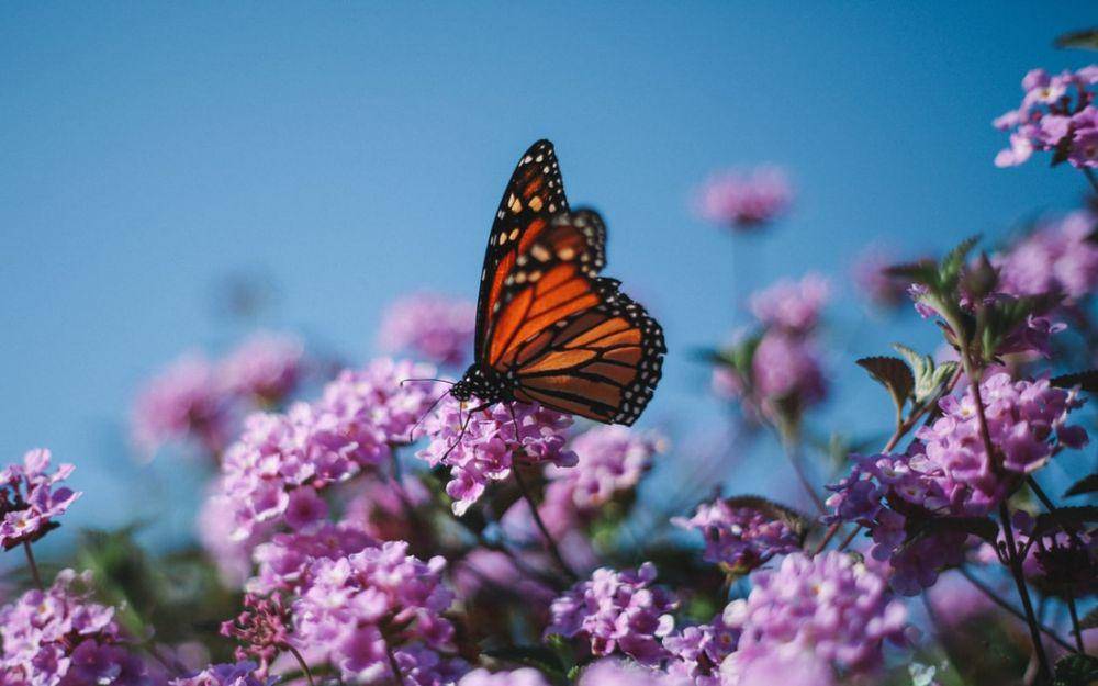 unsplash.com/justindocanto