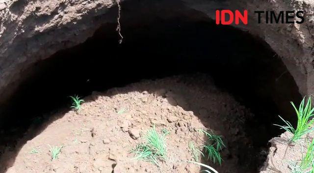 Usai Hujan, Sinkhole dengan Kedalaman 5 Meter Muncul di Gunungkidul