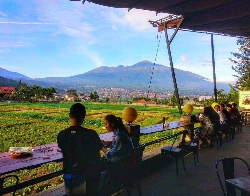 instagram.com/pupukbawangbatu