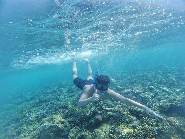 5 tempat snorkeling di pulau sumbawa yang cocok buat penghobi div
