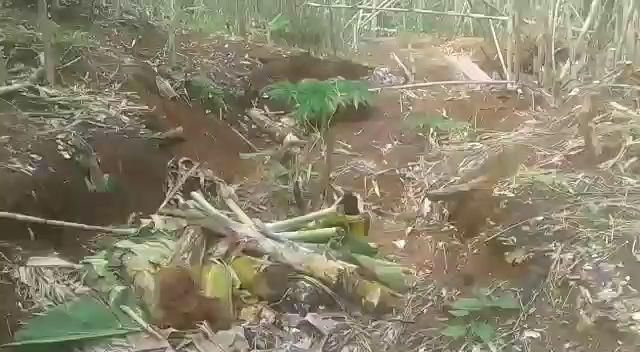 Tanah Amblas yang Terus Muncul Ancam 21 KK di Panggang Gunungkidul