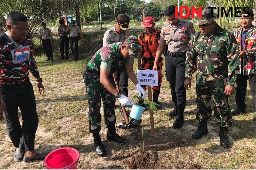 Dandim 0913/PPU Letkol Inf Mahmud ikut serta lakukan penanaman (IDN Times/ Ervan Masbanjar)