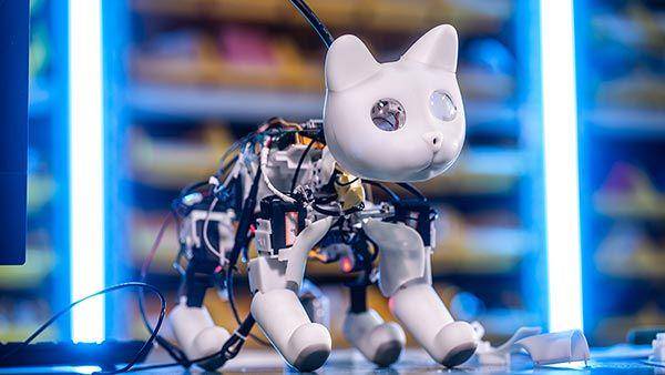 elephantrobotics.com