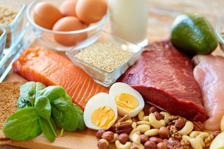 ilustrasi sumber protein (dominicanos.nyc)
