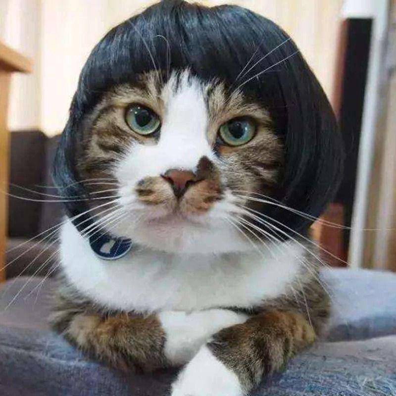 Aliexpress.com