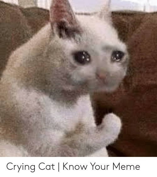 Ballmemes.com