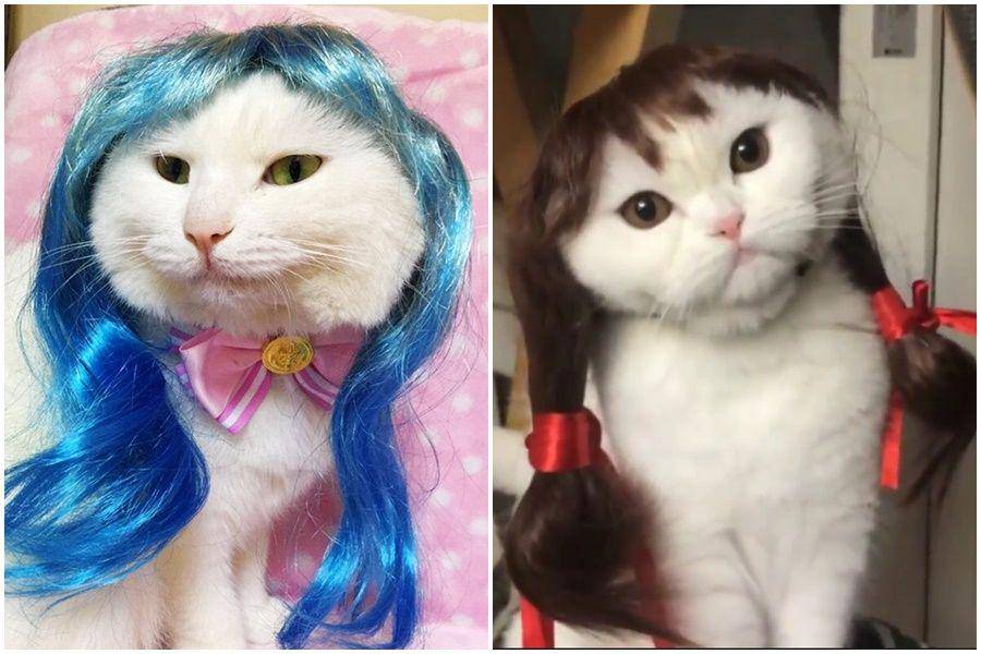 Aliexpress.com & Imgur.com