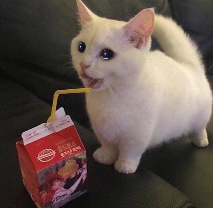 Reddit.com/Sad cats