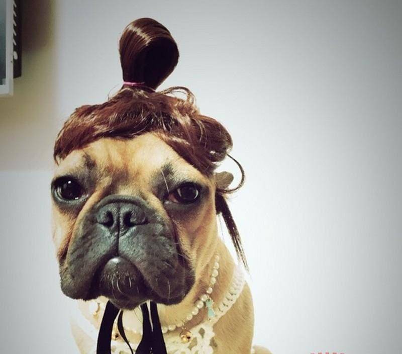 Sowoof.com