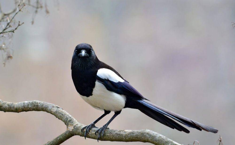 outthereoutdoors.com