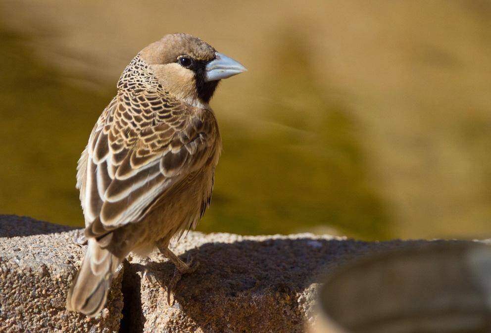 hbw.com