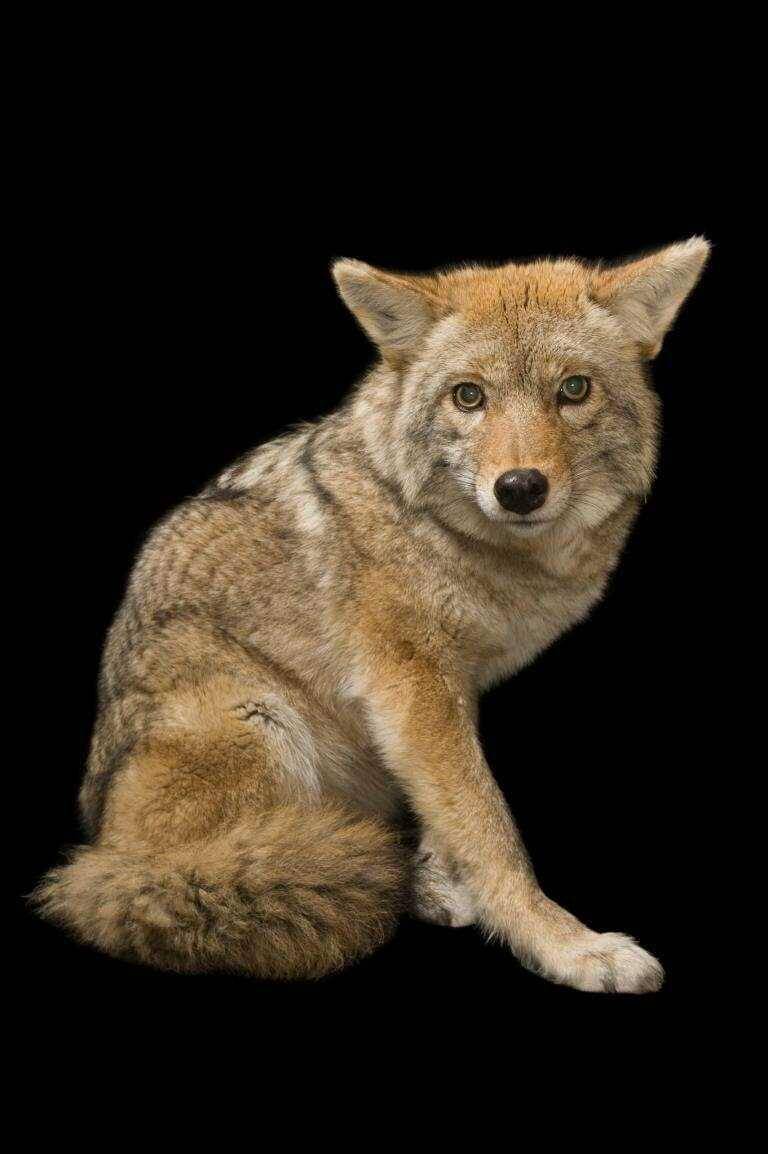 Nationalgeographic.com