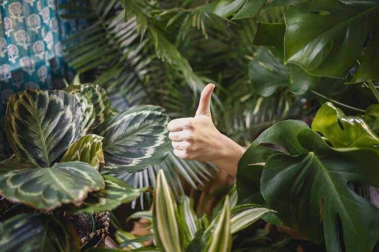 Unsplash.com/Katya Austin