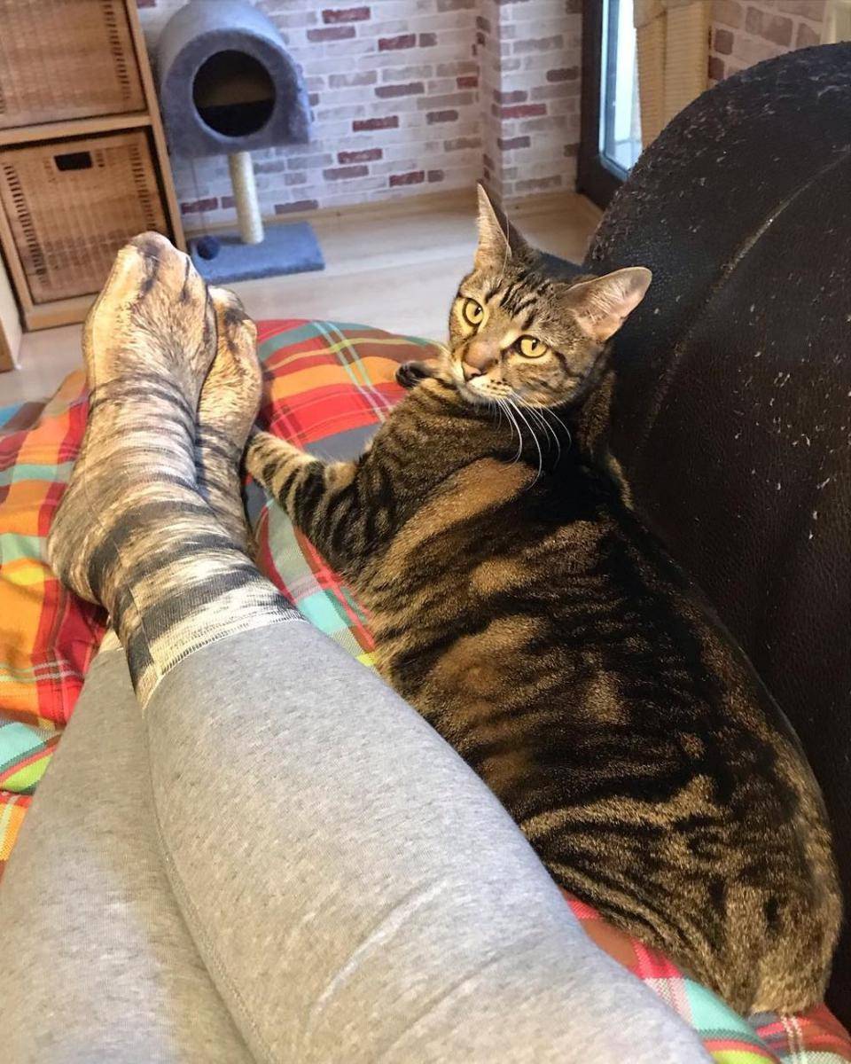 kaus kaki kucing (instagram.com/veltenbummler)