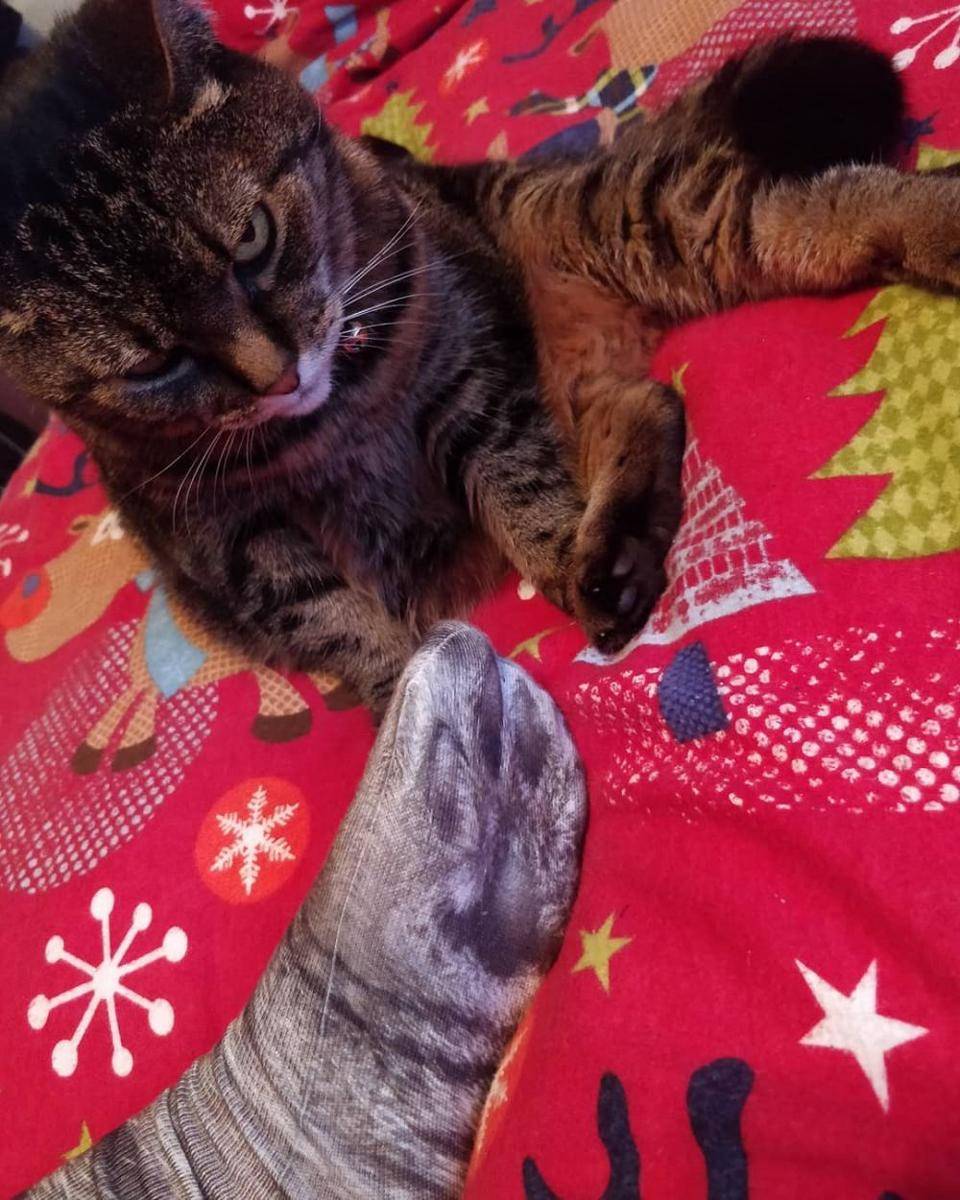 kaus kaki kucing (instagram.com/spooky_with_a_booty)