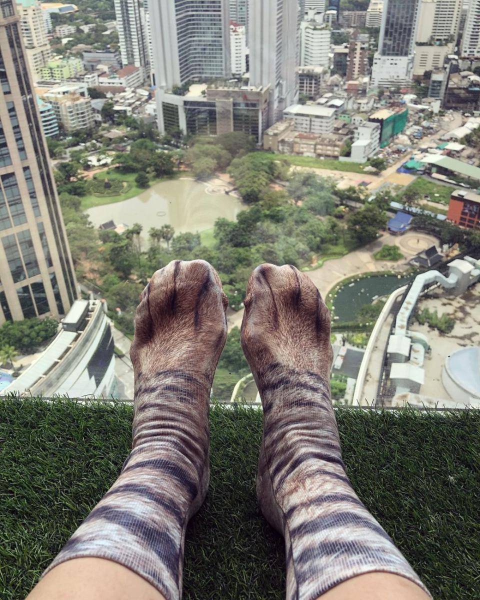 kaus kaki kucing (instagram.com/tententonton)