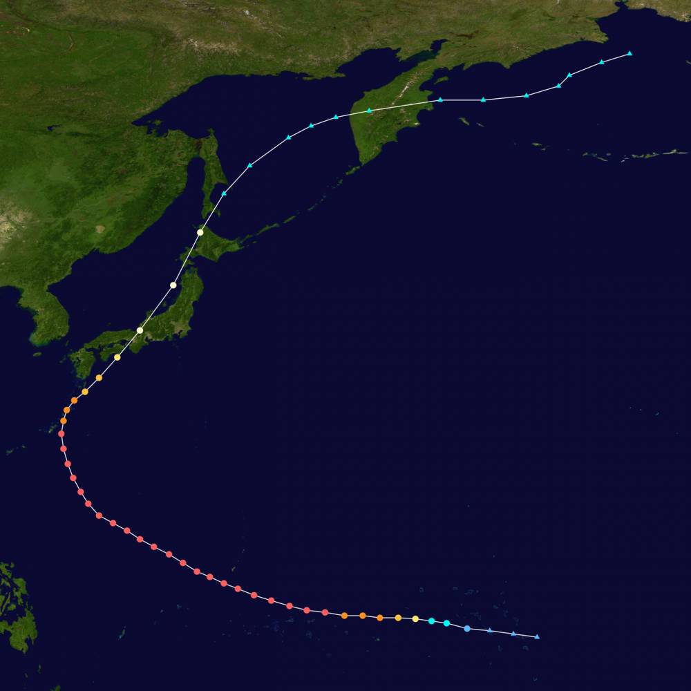 wikipedia.org/Supportstorm
