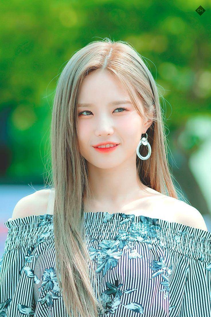 twitter.com/hayoungarchives