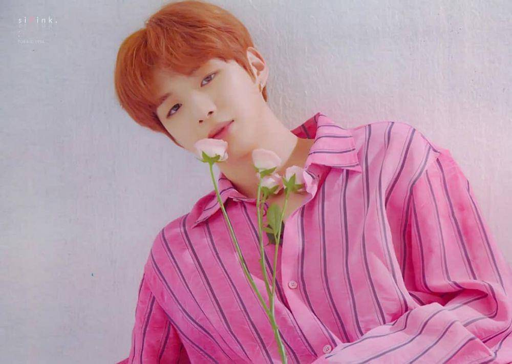 instagram.com/wannaonegallery._