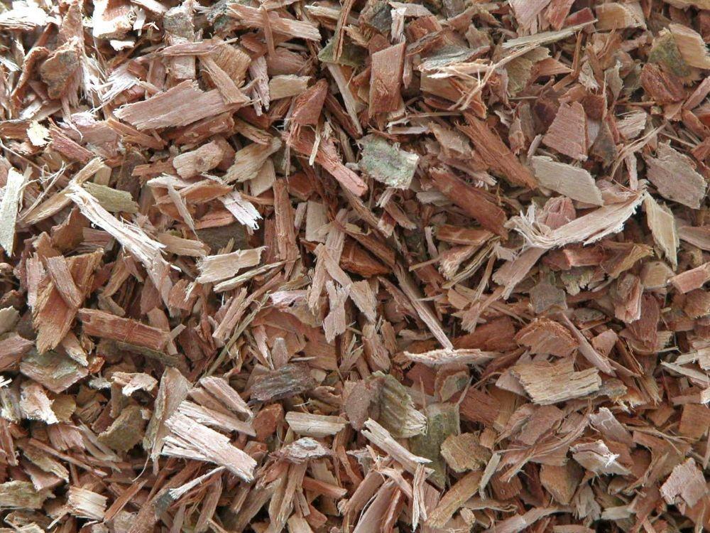 Mengenal willow bark, si penyembuh jerawat yang enak dijadikan te